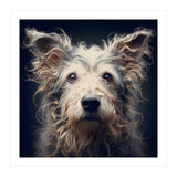 Old Dog 07 (Print Only) thumbnail