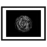 Backyard Flowers In Black And White No 72 with Border thumbnail