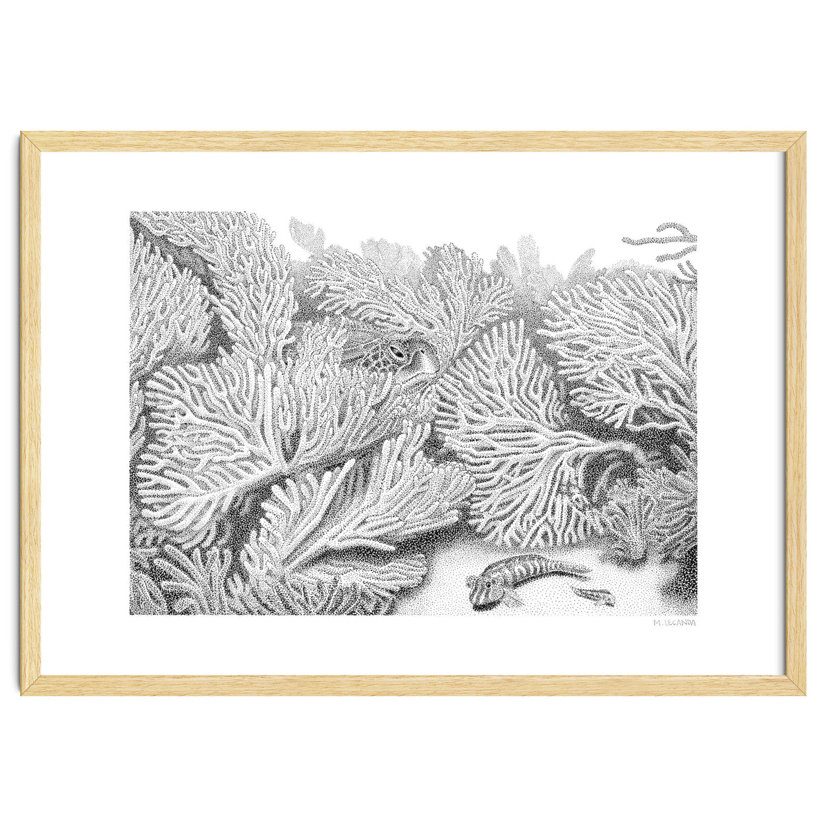 Hidden in plain sight