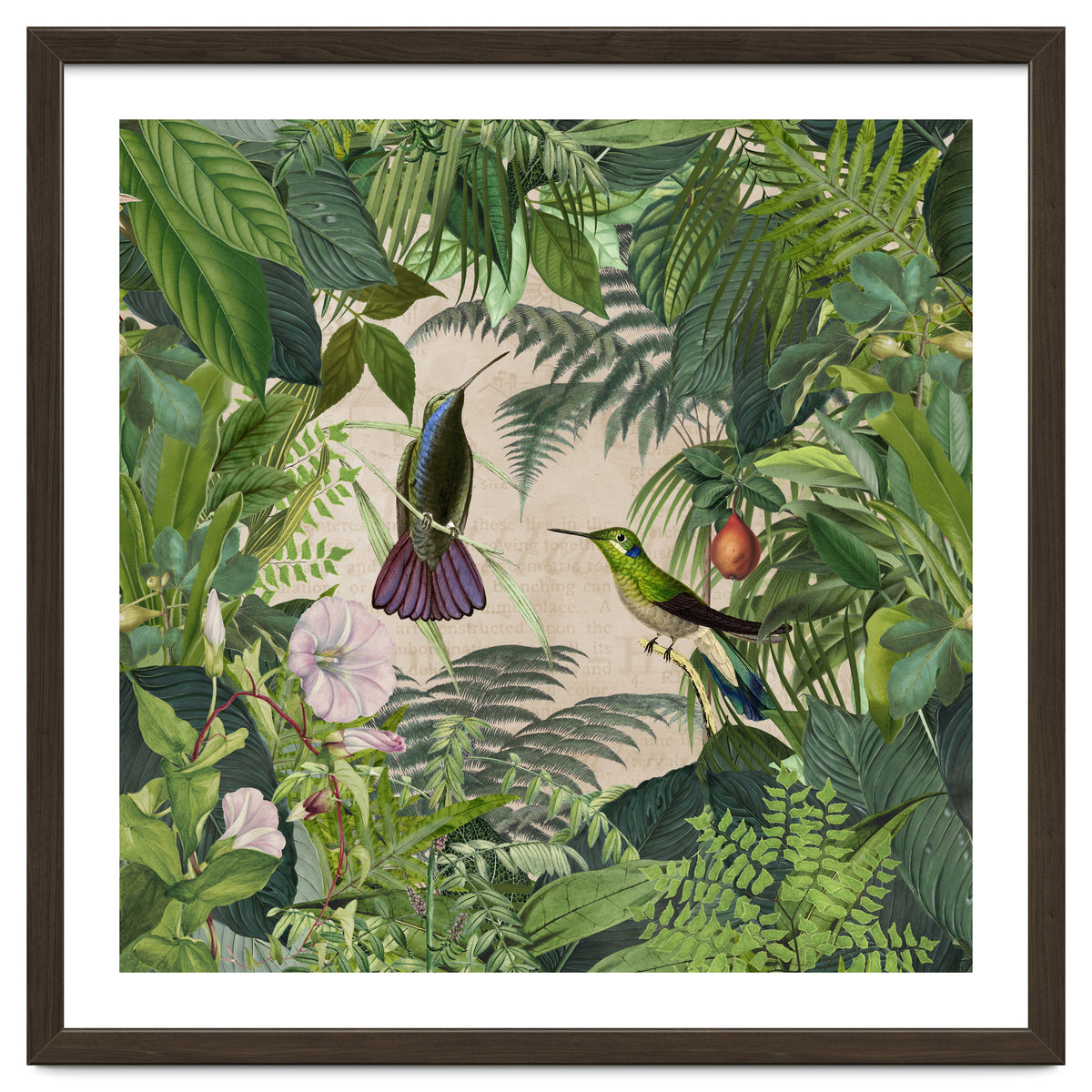 Tropical Hummingbird Jungle