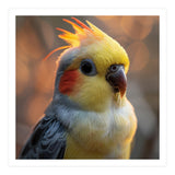 Cockatiel Parrot Portrait With Orange Cheeks (Print Only) thumbnail