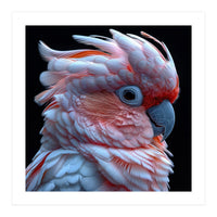 Pink Cockatoo Parrot Close Up Portrait Feather  (Print Only)