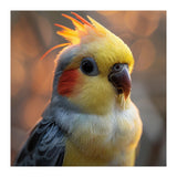 Cockatiel Parrot Portrait With Orange Cheeks (Print Only) thumbnail
