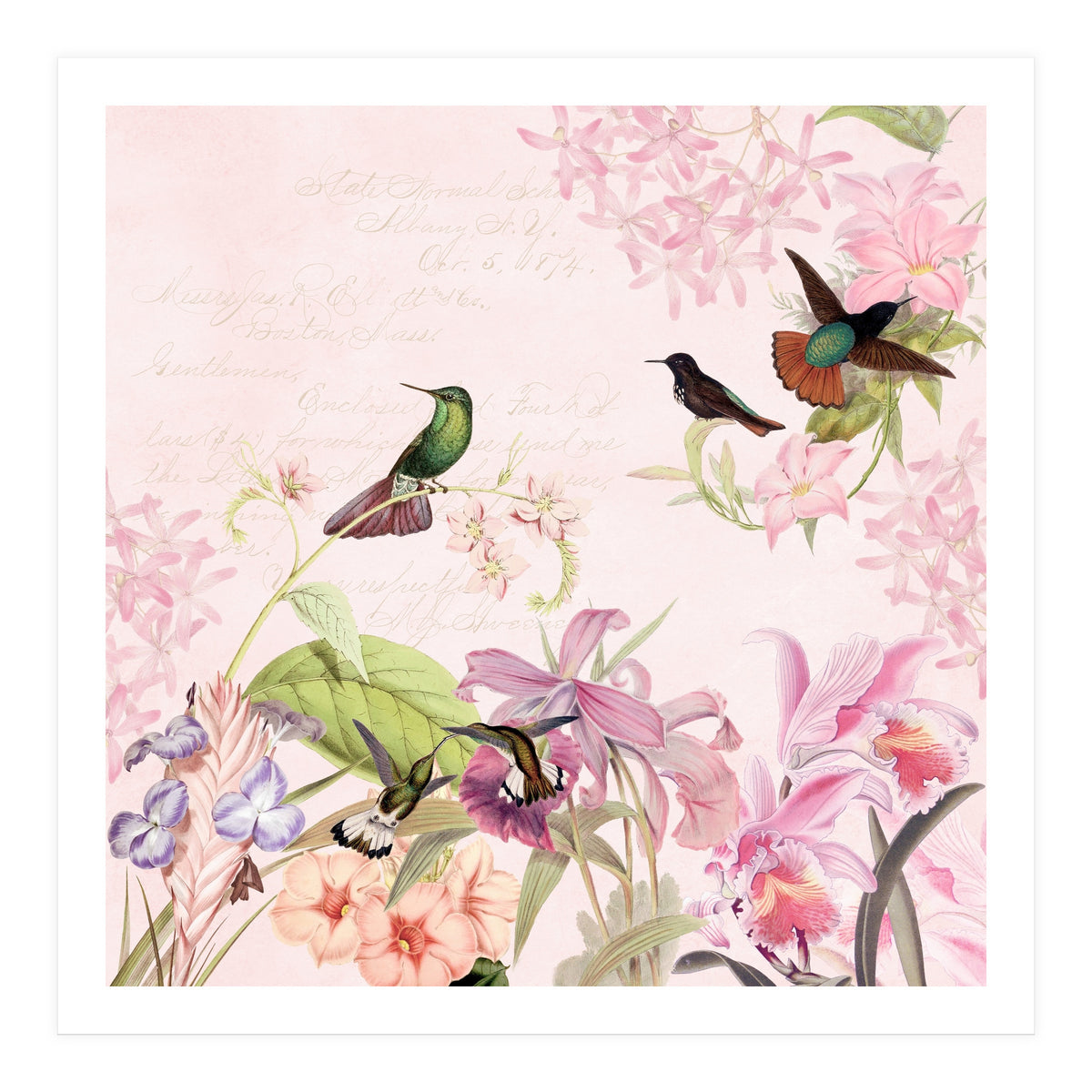 Hummingbirds in Flower Jungle  (Print Only)