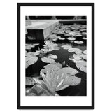 Lotus Pond | Black & White Portrait thumbnail