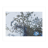 Coral Rising (Print Only) thumbnail