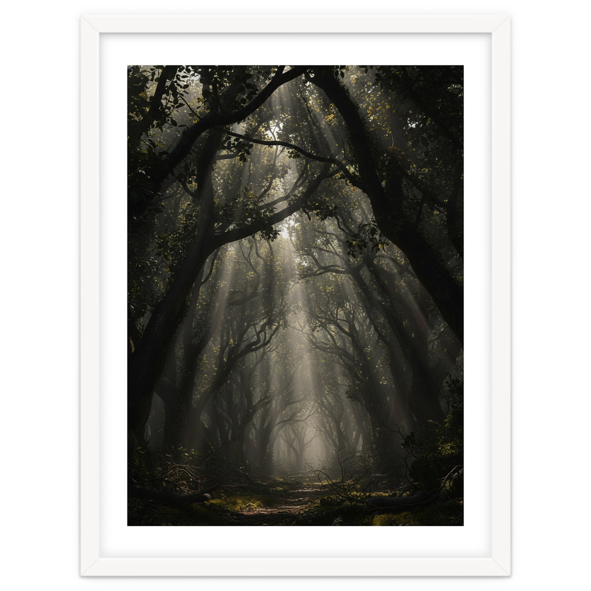 Enchanted Canopy: Mystical Forest Path
