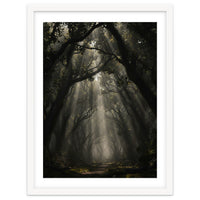 Enchanted Canopy: Mystical Forest Path
