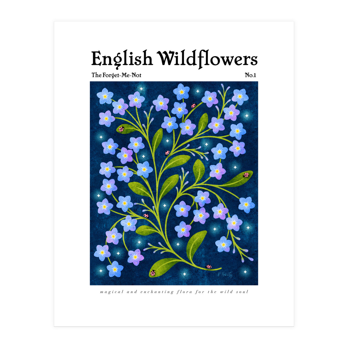 English Wildflowers | Forget-Me-Not (Print Only)
