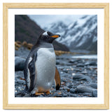 Gentoo Penguin Standing On A Rocky Shore thumbnail