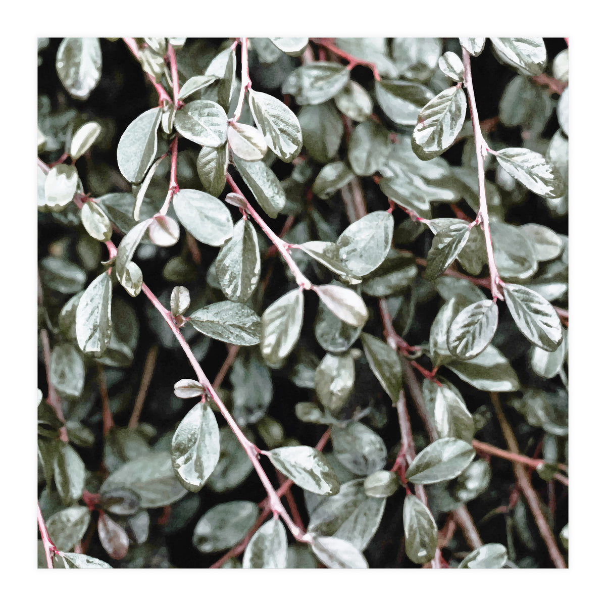 Rain #society6 #decor #buyart (Print Only)