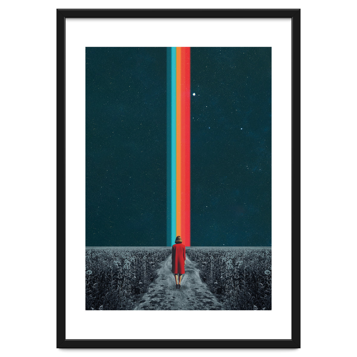 Follow Your Own Path