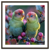 Two Lovebirds On A Branch Surrounded By Berries thumbnail