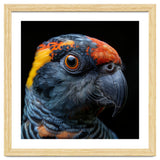 Close Up Of A Colorful Parrot Bird's Head thumbnail