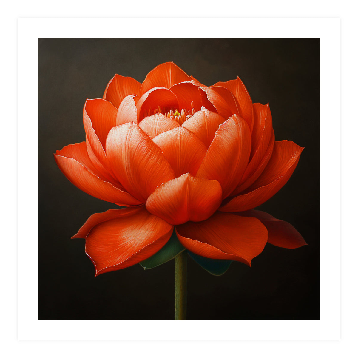 Double Lotus | Scarlet Solace (Print Only)