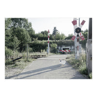 A chicken crossing a railroad (Print Only)
