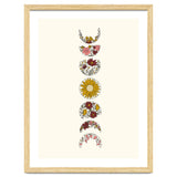 Floral Phases Of The Moon thumbnail