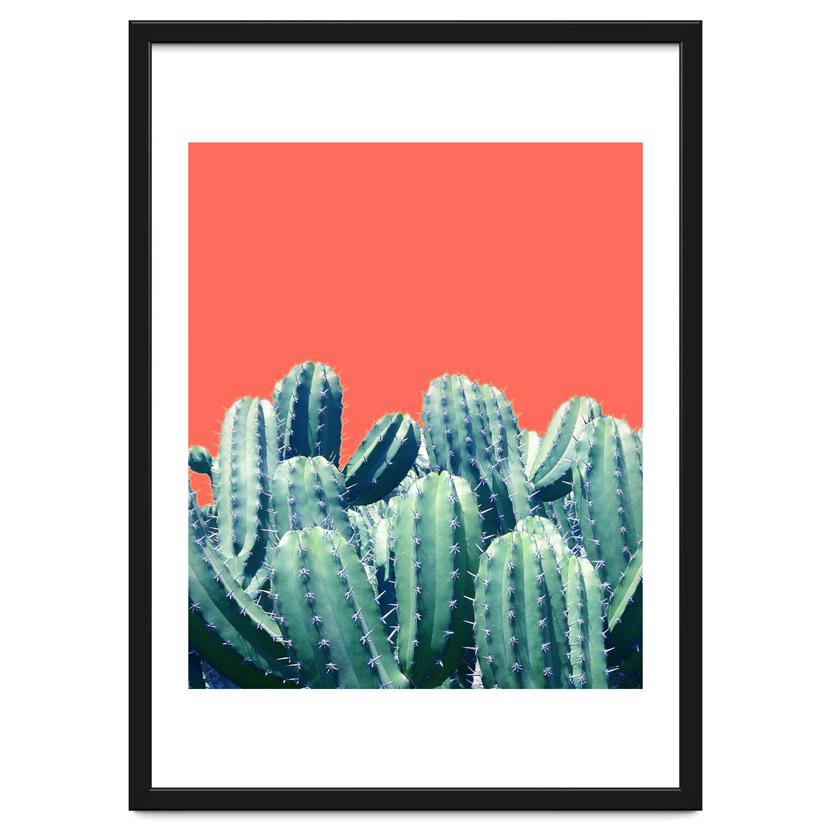 Cactus On Coral