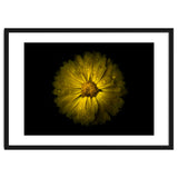 Backyard Flowers No 10 Color Version thumbnail