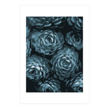 Succulent Plant Blue Ii (Print Only) thumbnail