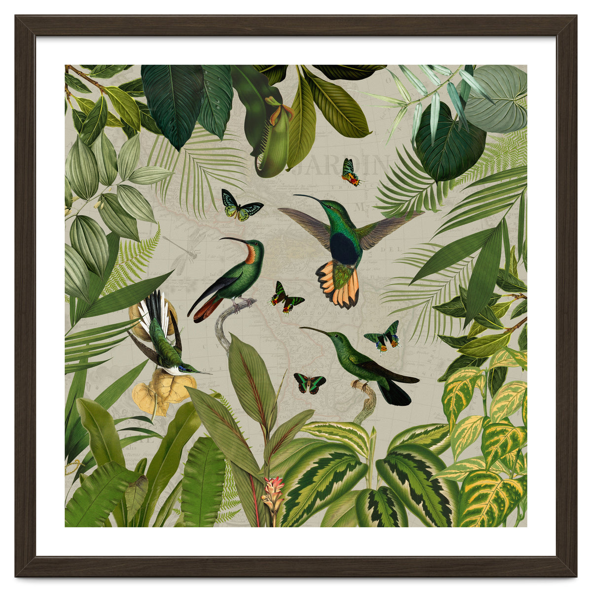 Vintage Exotic Hummingbirds Jungle
