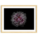 Backyard Flowers No 118 Color Version thumbnail