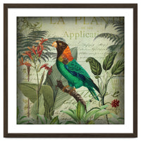 Tropical Bird Nostalgia
