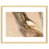 Coastal Dunes thumbnail