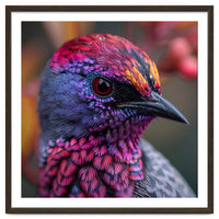 Vibrant Exotic Bird Detailed Feather Close Up