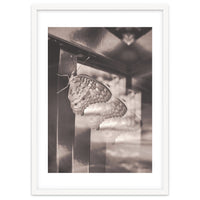 Evolving | Sepia