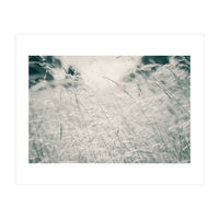 Walking Through Long Grass (Print Only)