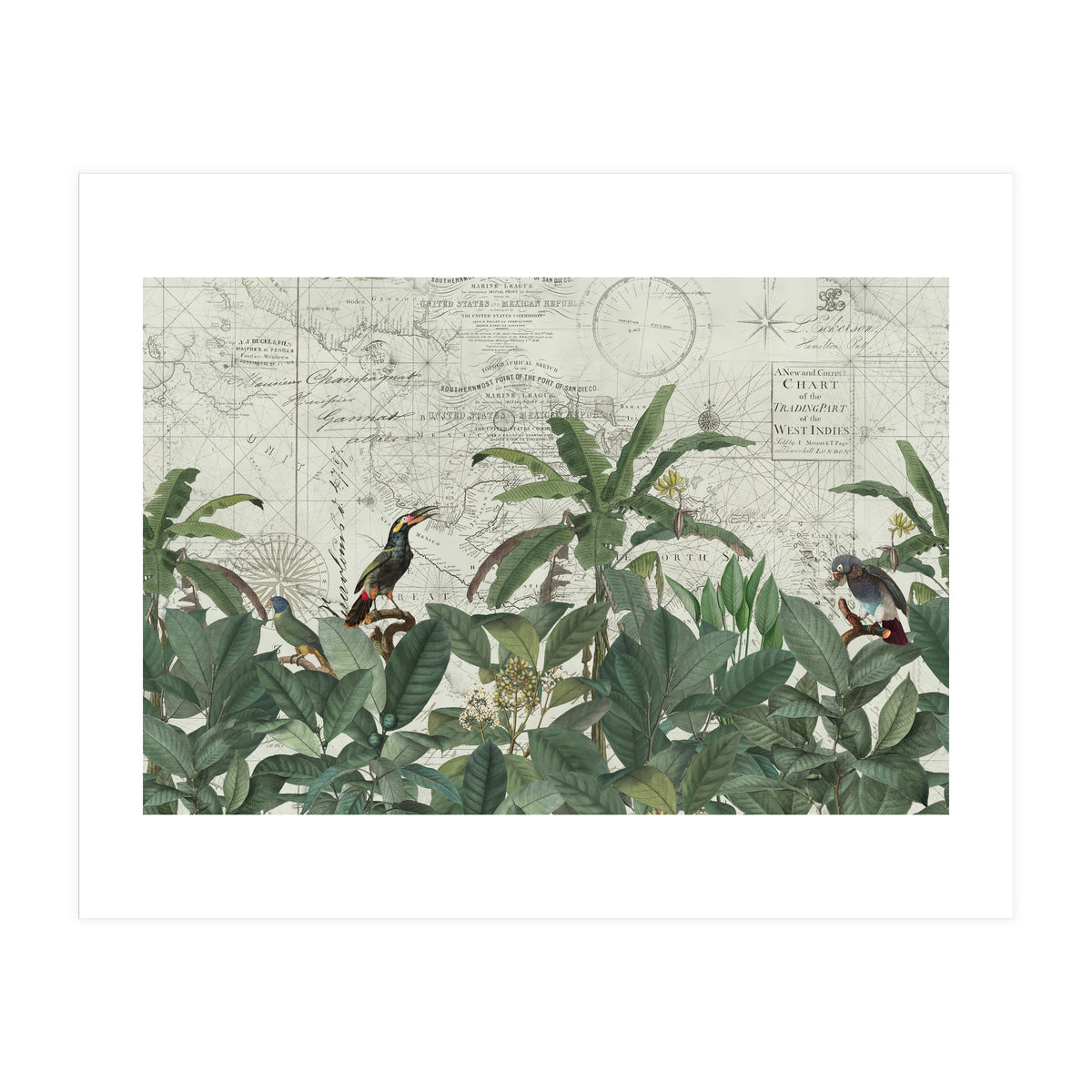 Explore The New World (Print Only)