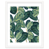 Botany #society6 #decor #buyart thumbnail