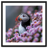 Atlantic Puffin Amidst Pink Heather Flowers thumbnail