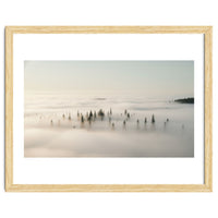 Misty Peaks: Pine Forest Above the Clouds