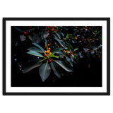 Orange, Green and Dark thumbnail