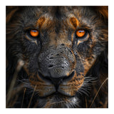 Majestic Lion Face Intense Orange Eyes Close Up (Print Only) thumbnail