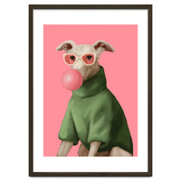 Bubblegum Pup
