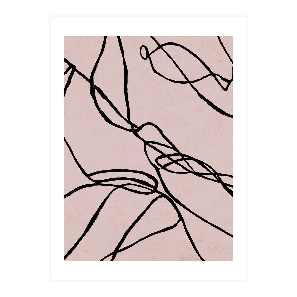 Lines on Rose (Print Only)