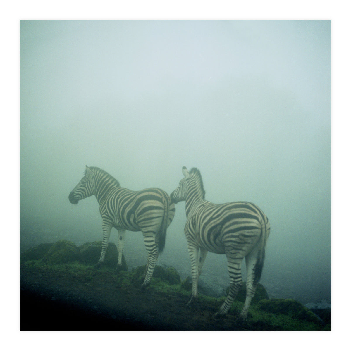 Silence of breath - 14 (Print Only)