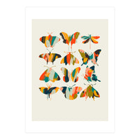 Colorful Butterflies (Print Only)