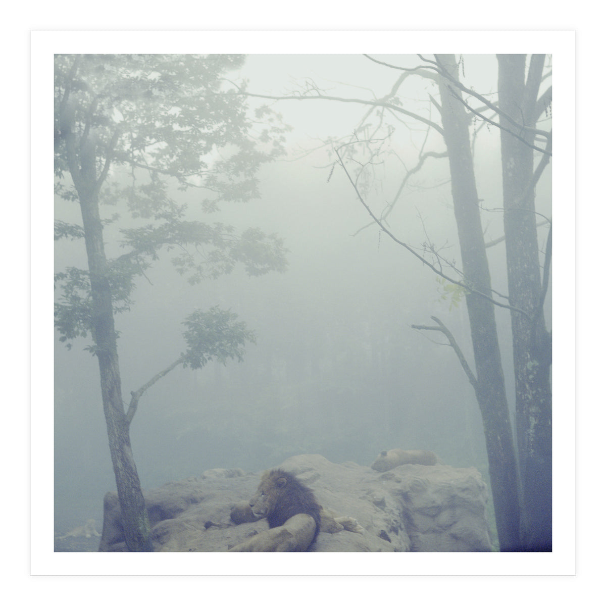 Silence of breath - 02 (Print Only)