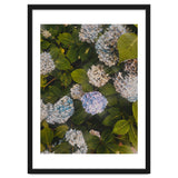 Hydrangeas | Portrait thumbnail