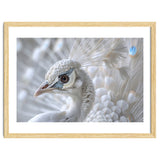 Close-up of a White Peacock thumbnail