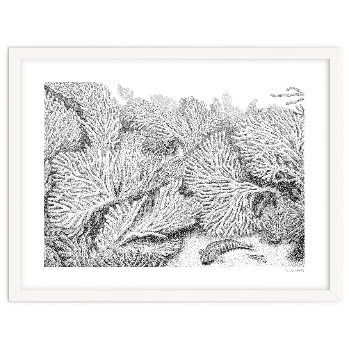 Hidden in plain sight