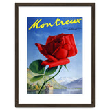 Red Rose on Montreux, Switzerland thumbnail