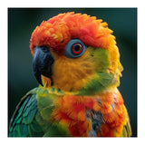 Sun Conure Parrot Close Up Eye  (Print Only) thumbnail