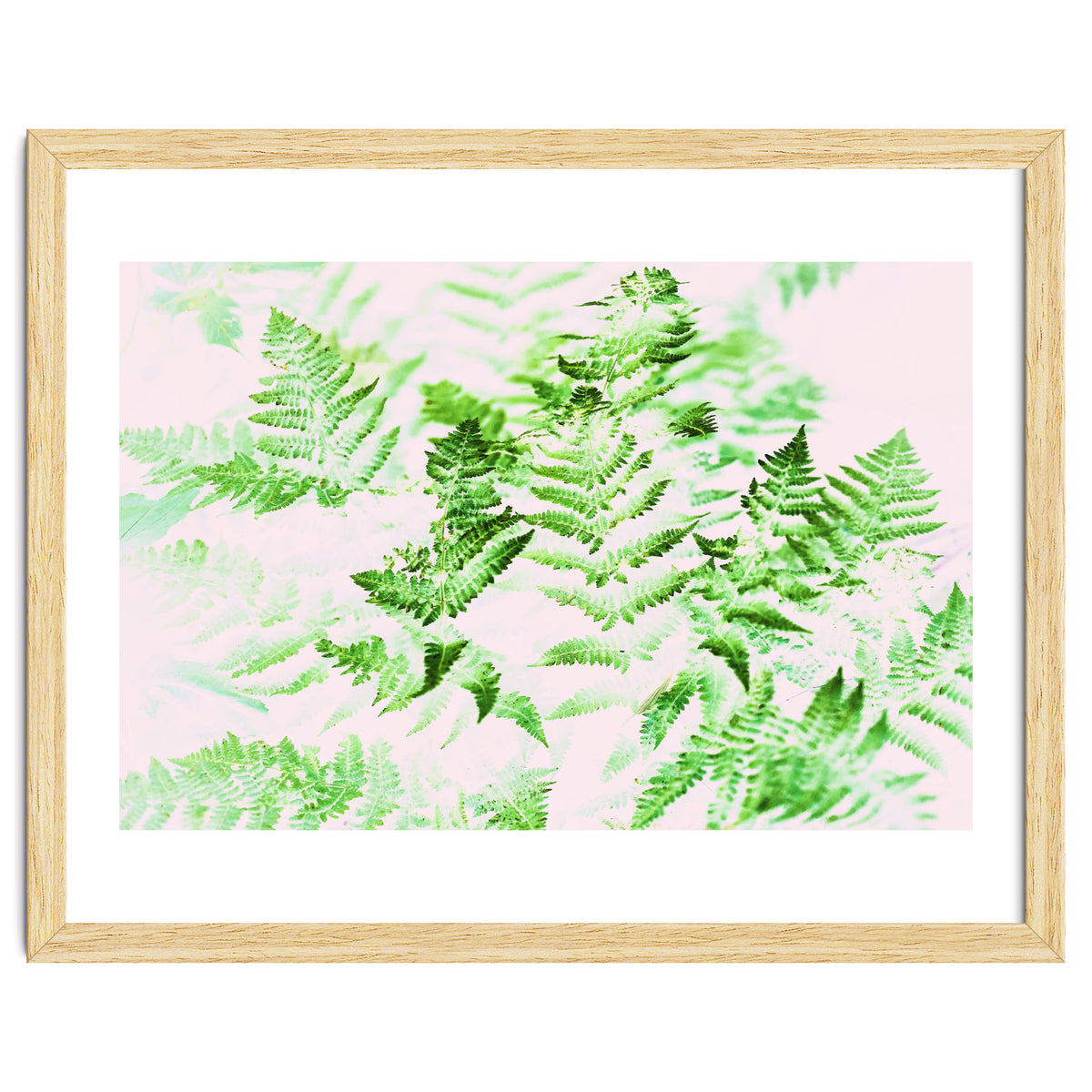 Fern Forest #society6 #decor #buyart
