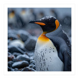 King Penguin Standing In Snowfall Outdoors (Print Only) thumbnail