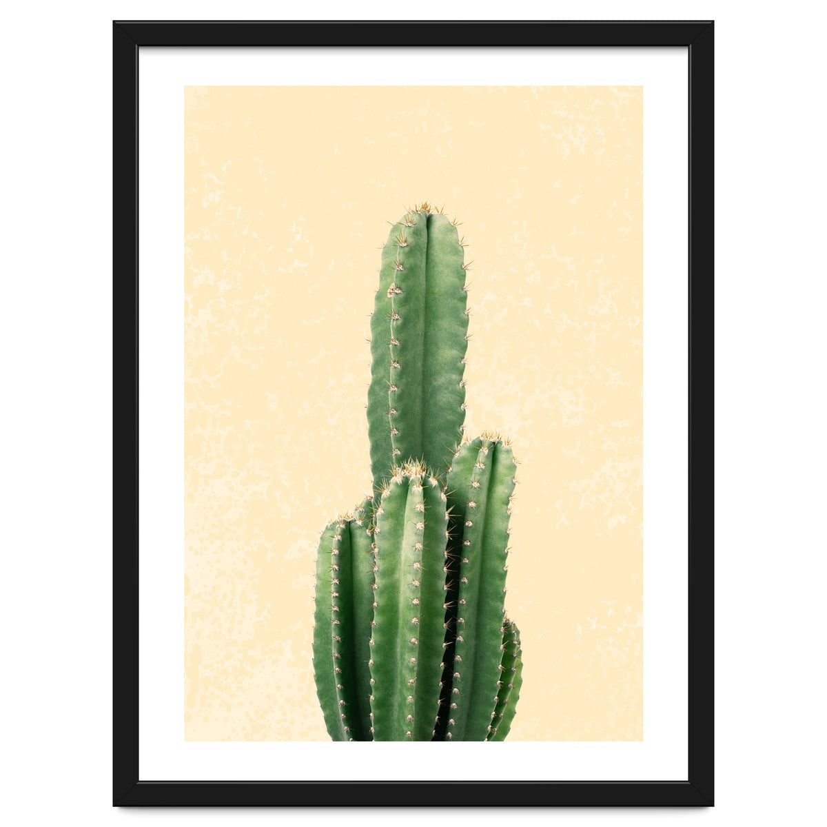 Tall Cactus, Minimal Desert Saguaro Art